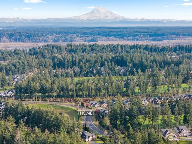 drone / aerial view featuring a mountain view