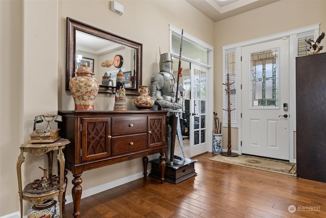 entryway featuring wood-type flooring