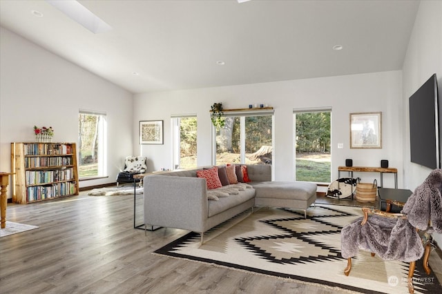 living room with hardwood / wood-style floors, high vaulted ceiling, and plenty of natural light