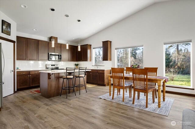 kitchen featuring decorative backsplash, appliances with stainless steel finishes, decorative light fixtures, hardwood / wood-style floors, and a center island