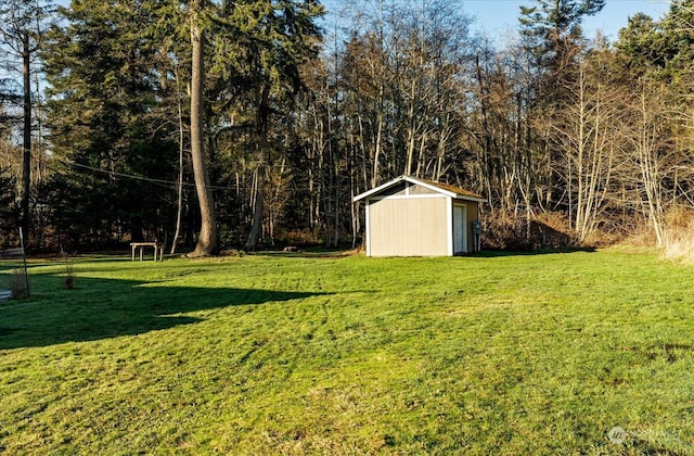 view of yard with a storage shed