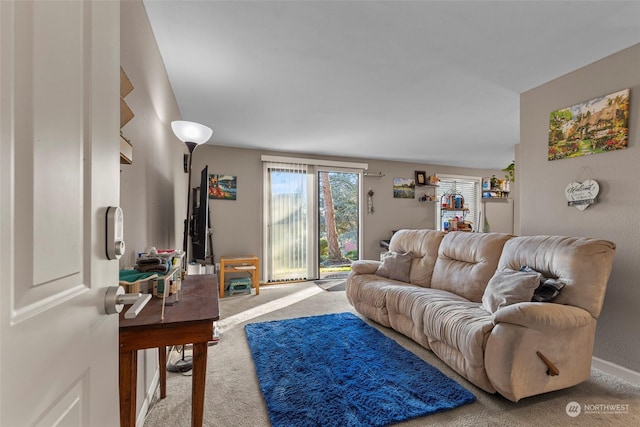 living room featuring carpet flooring