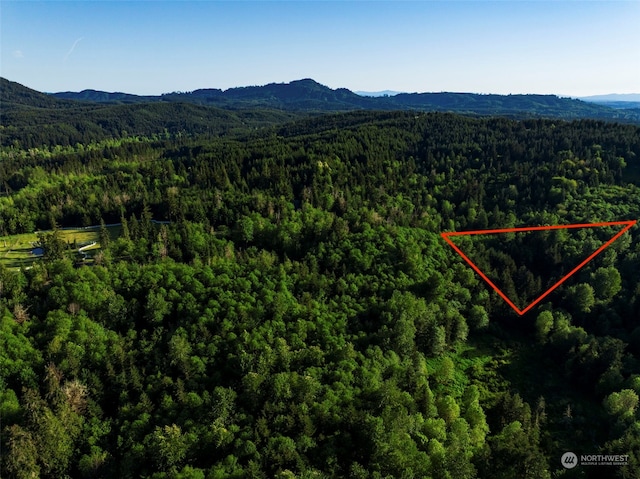 7024 Nanitch Ln SE, Tenino WA, 98589 land for sale