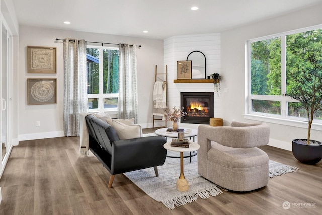 living area with a fireplace, hardwood / wood-style flooring, and a healthy amount of sunlight