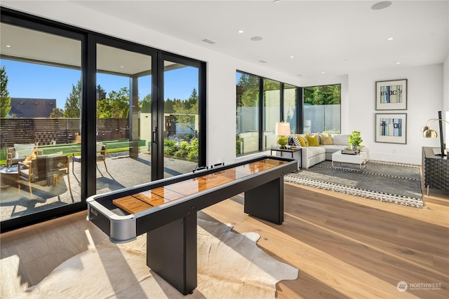 rec room featuring light hardwood / wood-style flooring