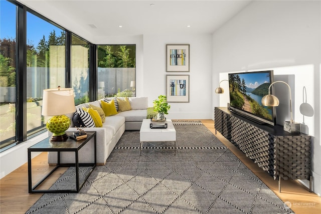 living room with wood-type flooring