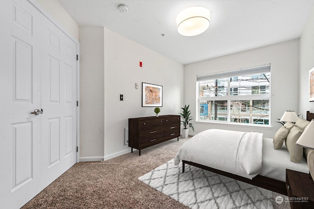 bedroom featuring carpet