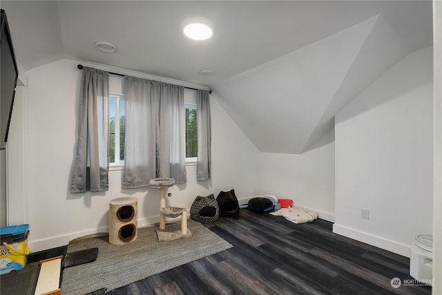 additional living space featuring vaulted ceiling and dark wood-type flooring