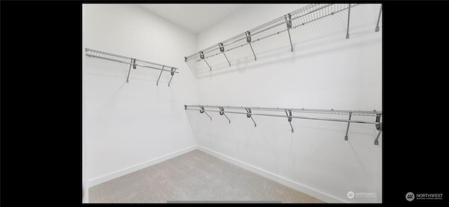 spacious closet featuring carpet floors