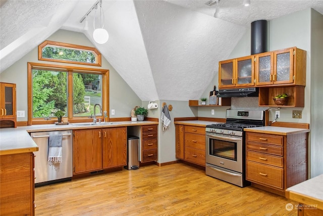 kitchen with ventilation hood, sink, light hardwood / wood-style flooring, decorative light fixtures, and stainless steel appliances