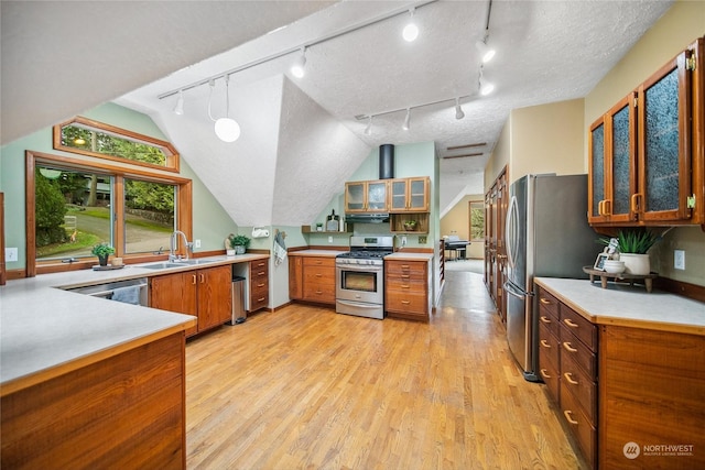 kitchen featuring stainless steel appliances, sink, light hardwood / wood-style flooring, hanging light fixtures, and lofted ceiling