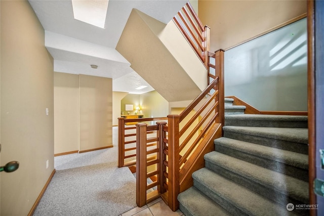 staircase with carpet floors