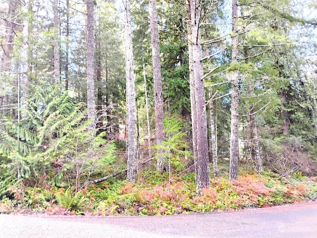 78 Fir Park Ln, Packwood, WA 98361