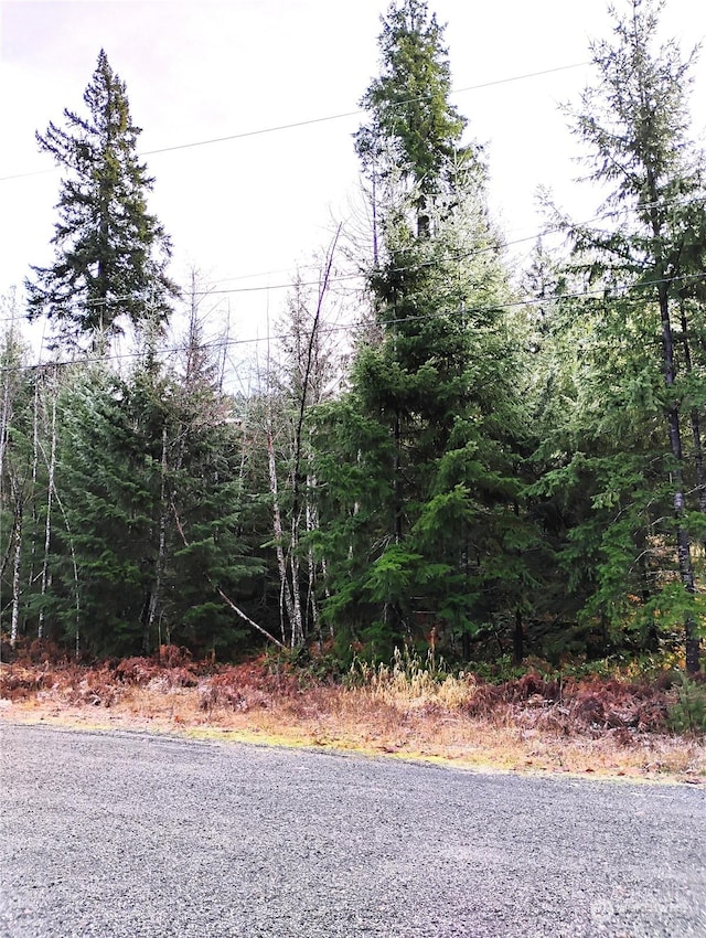 Listing photo 2 for 2 Deer Park Ln, Packwood WA 98361