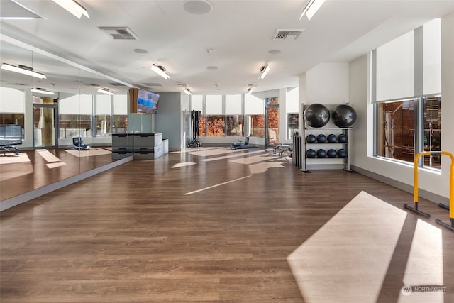 workout area featuring expansive windows and dark wood-type flooring