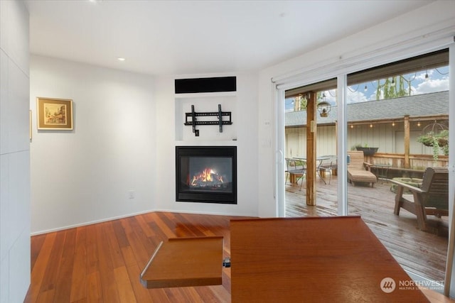 living room featuring wood-type flooring