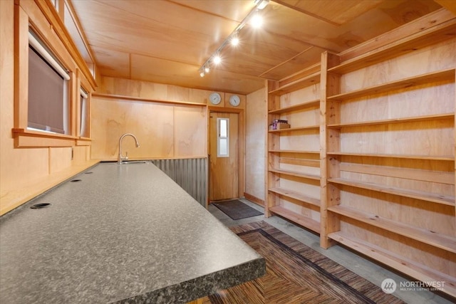 kitchen featuring sink, wooden walls, and track lighting