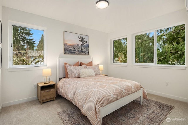 bedroom with carpet flooring and multiple windows