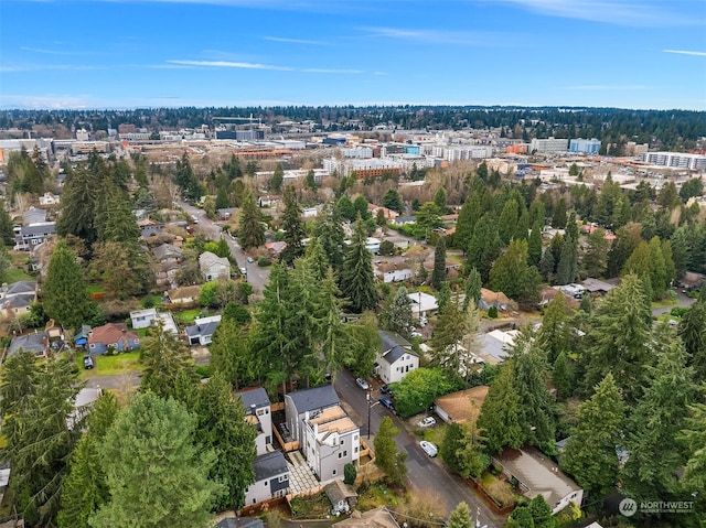 1209 NE 104th St, Seattle, WA 98125 - photo 31