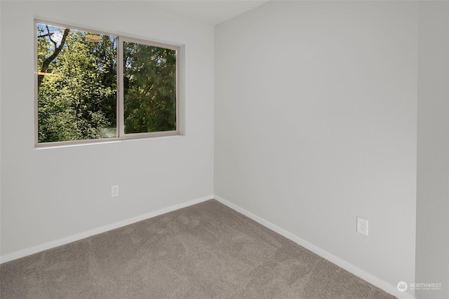 empty room featuring carpet flooring and plenty of natural light