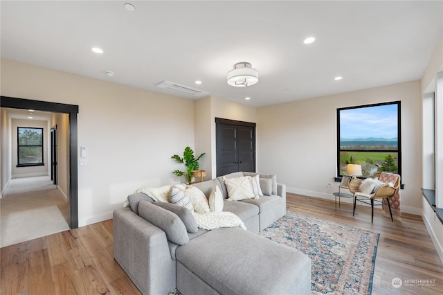 living room featuring light hardwood / wood-style floors