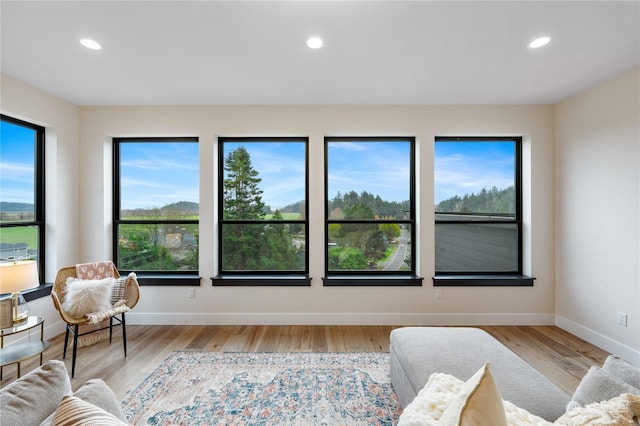 sitting room with light hardwood / wood-style flooring and a healthy amount of sunlight