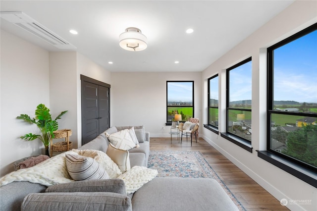 living room with wood-type flooring