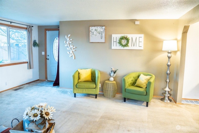 living area with carpet and a textured ceiling