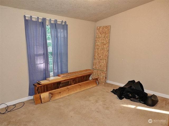 misc room with carpet, a textured ceiling, and vaulted ceiling