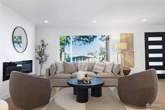 living room featuring light wood-type flooring