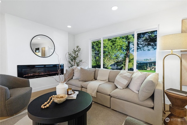 living room featuring light hardwood / wood-style flooring