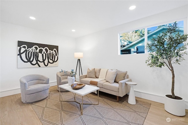 living room featuring hardwood / wood-style flooring