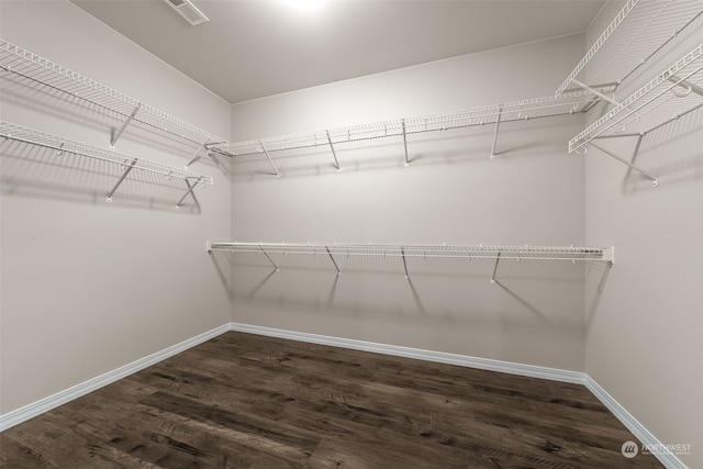 spacious closet featuring dark hardwood / wood-style flooring