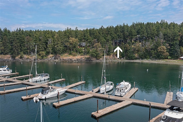 view of dock featuring a water view