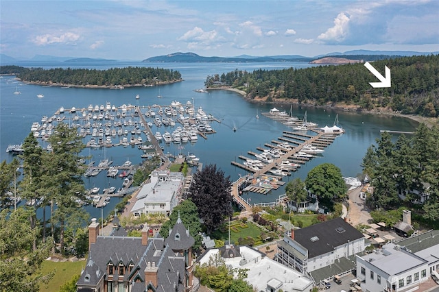 aerial view featuring a water and mountain view