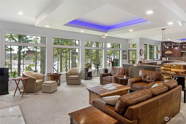 sunroom / solarium with a healthy amount of sunlight and a tray ceiling