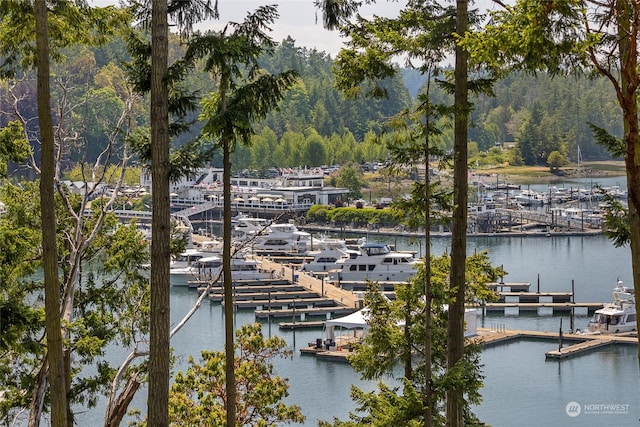 property view of water featuring a boat dock