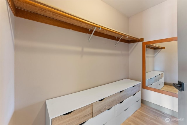 spacious closet featuring light wood-type flooring