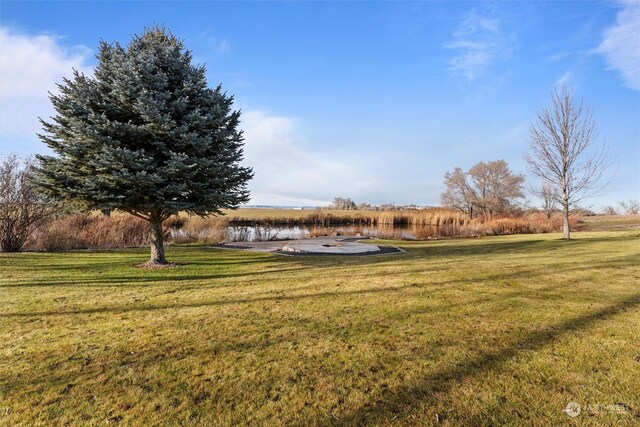 view of yard with a rural view