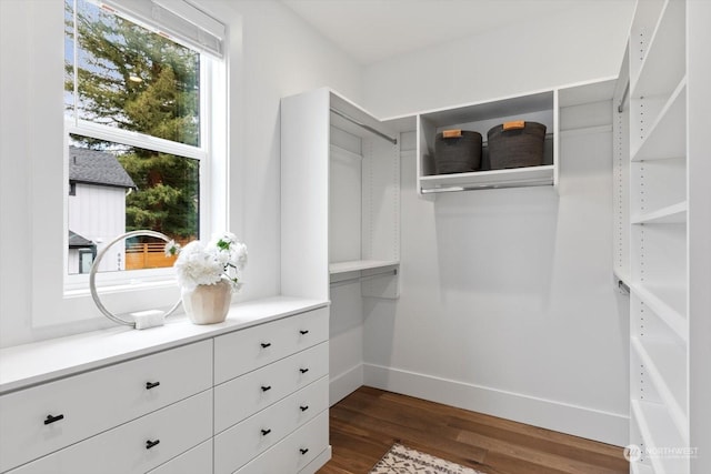 spacious closet with dark wood-type flooring