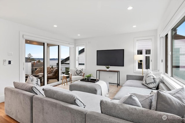 living room featuring light hardwood / wood-style flooring and plenty of natural light