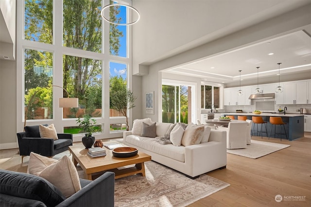 living room with a raised ceiling, a healthy amount of sunlight, a high ceiling, and light wood-type flooring