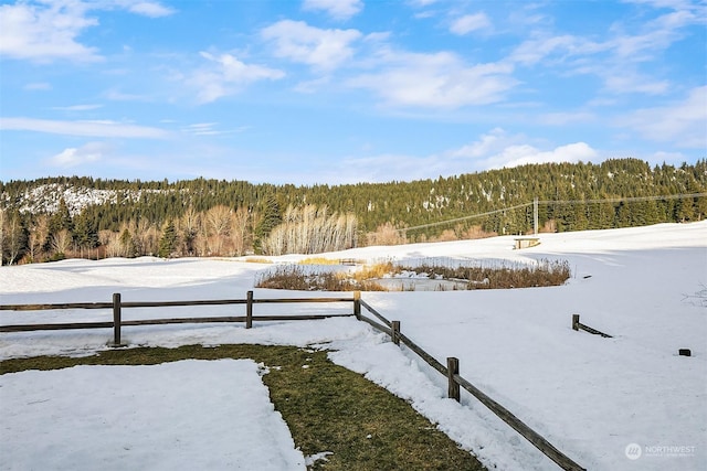 view of yard covered in snow