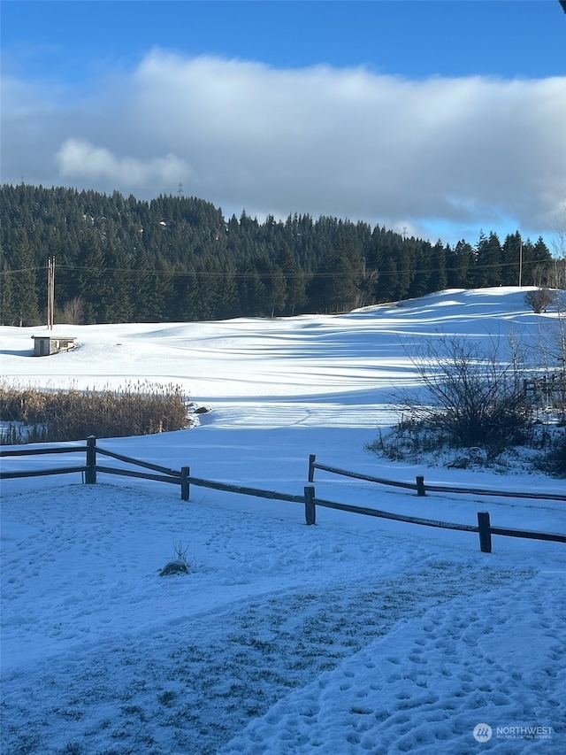 view of yard layered in snow