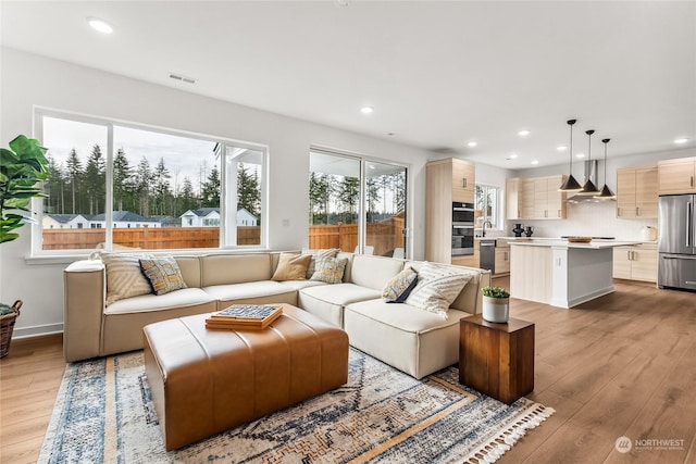 living room with light wood-type flooring