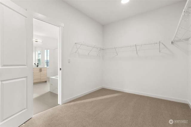 walk in closet featuring carpet and sink