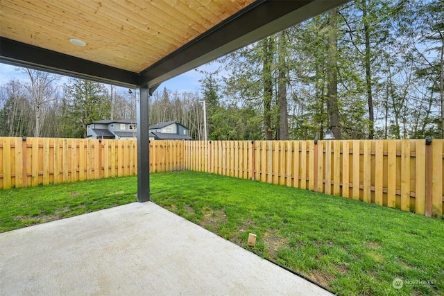 view of yard featuring a patio area