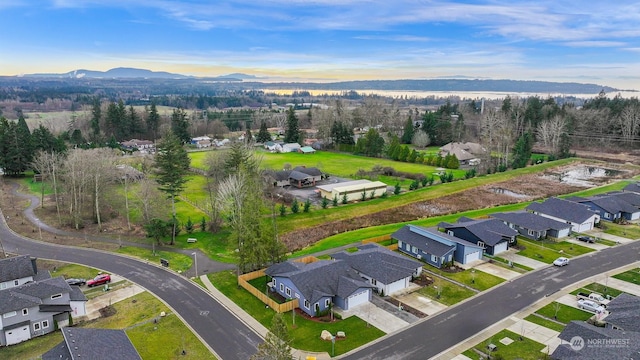 drone / aerial view featuring a mountain view