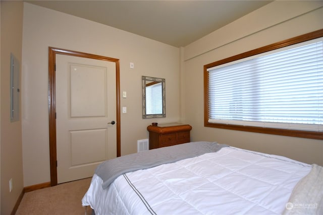 bedroom with carpet and electric panel