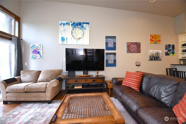 living room featuring hardwood / wood-style flooring